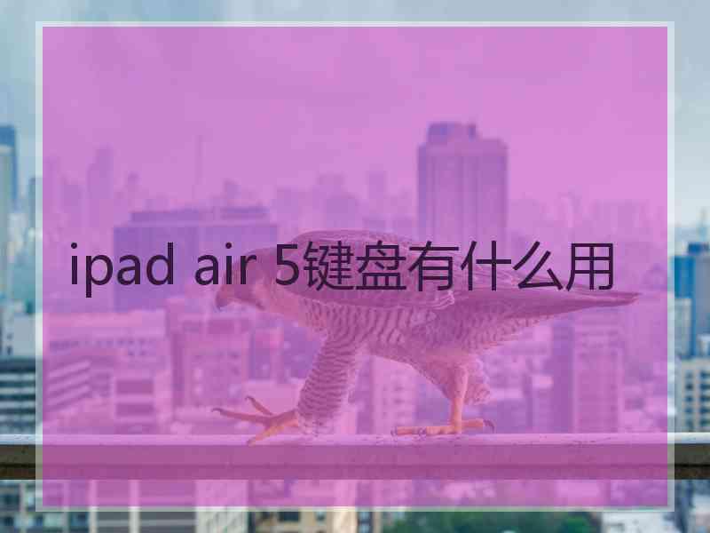 ipad air 5键盘有什么用