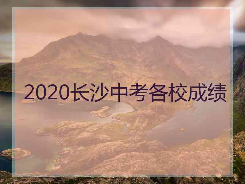 2020长沙中考各校成绩