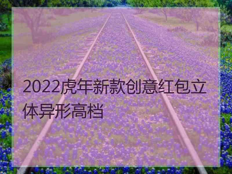 2022虎年新款创意红包立体异形高档