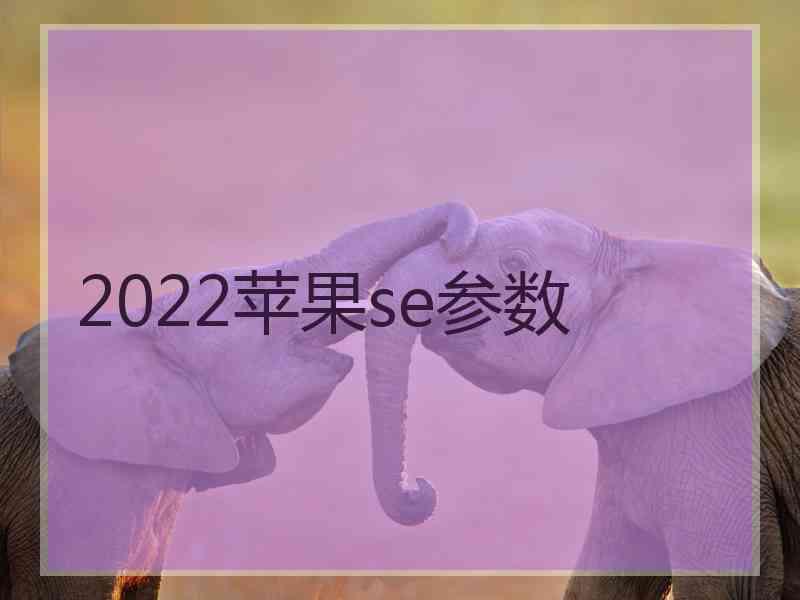 2022苹果se参数