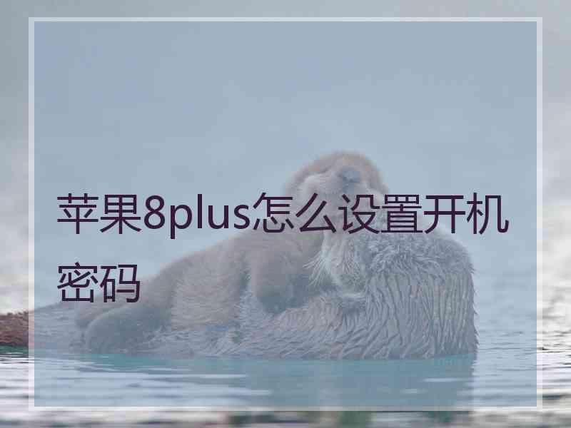 苹果8plus怎么设置开机密码