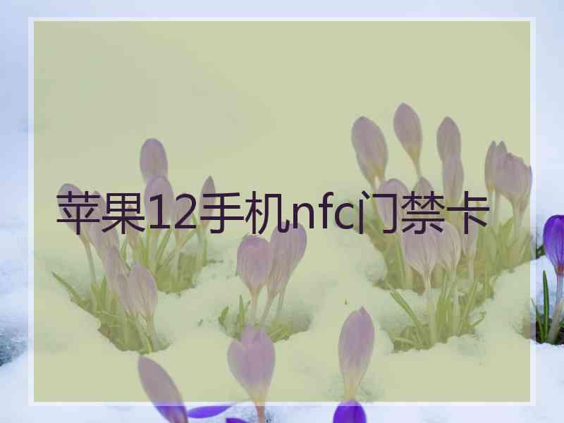 苹果12手机nfc门禁卡