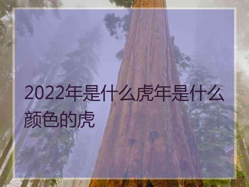 2022年是什么虎年是什么颜色的虎