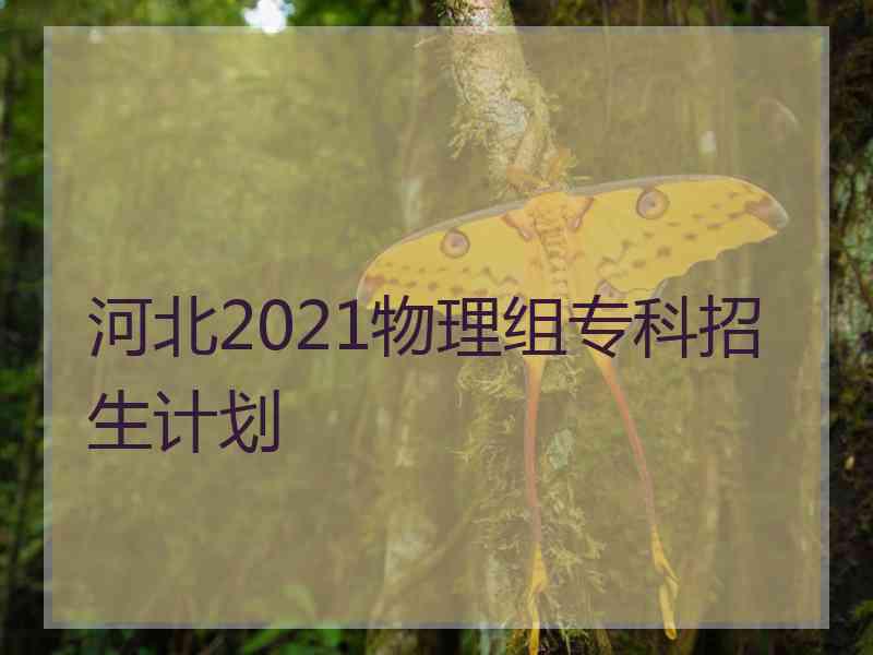 河北2021物理组专科招生计划