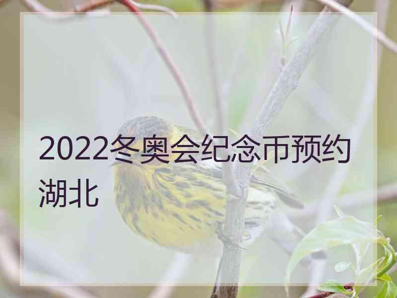 2022冬奥会纪念币预约湖北