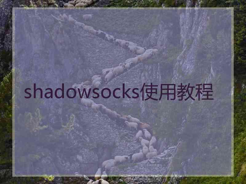 shadowsocks使用教程