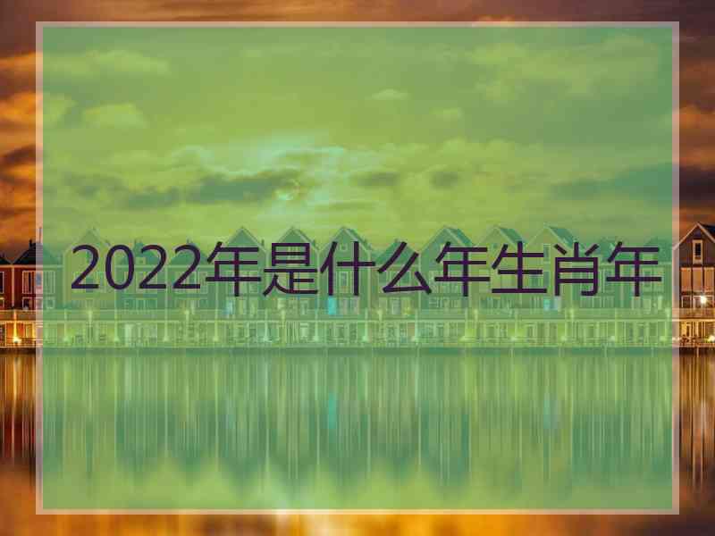 2022年是什么年生肖年