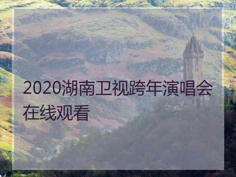 2020湖南卫视跨年演唱会在线观看