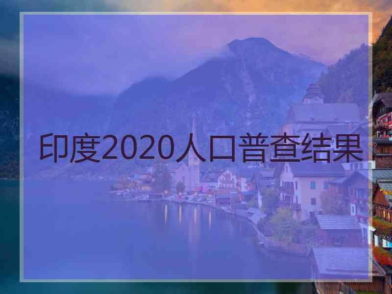 印度2020人口普查结果