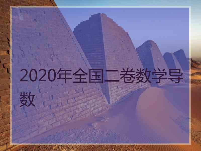 2020年全国二卷数学导数