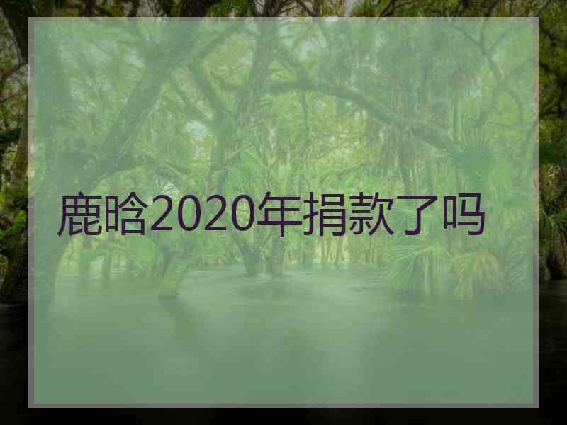 鹿晗2020年捐款了吗