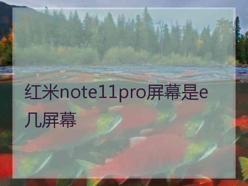 红米note11pro屏幕是e几屏幕