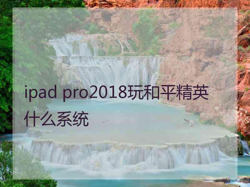 ipad pro2018玩和平精英什么系统