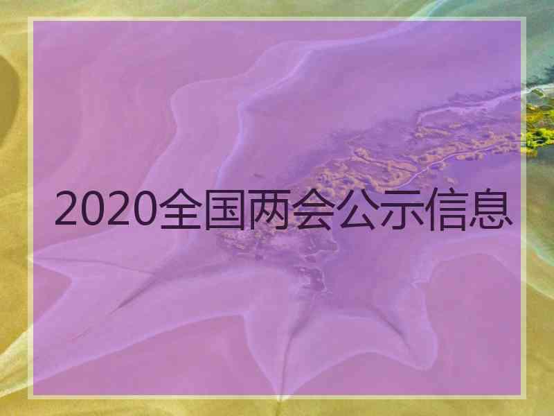 2020全国两会公示信息