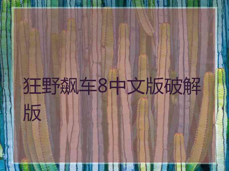 狂野飙车8中文版破解版