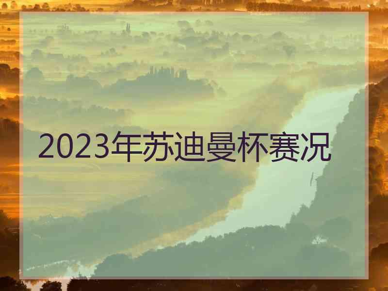 2023年苏迪曼杯赛况