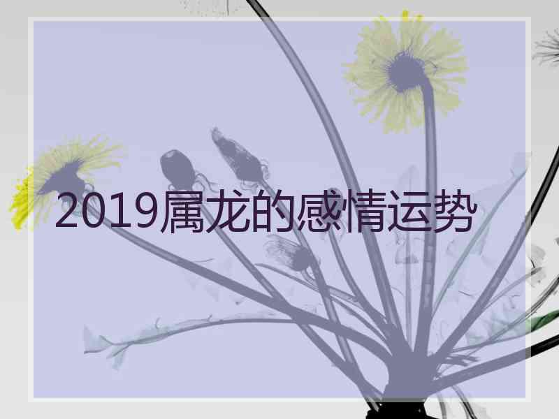 2019属龙的感情运势