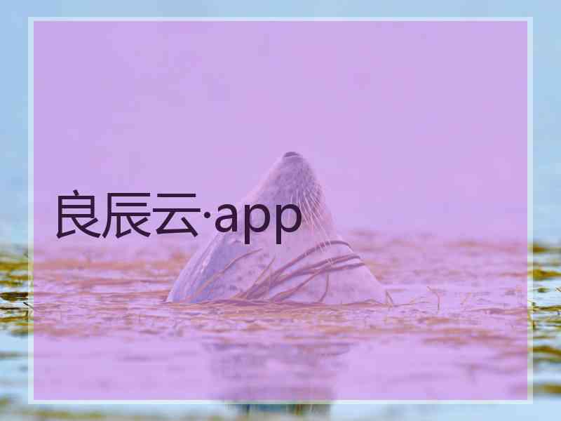 良辰云·app