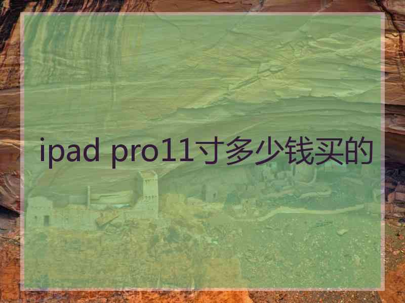 ipad pro11寸多少钱买的