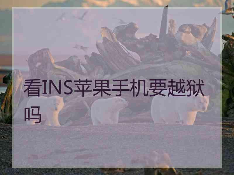 看INS苹果手机要越狱吗