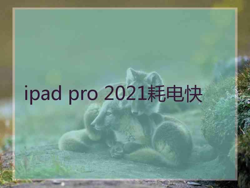 ipad pro 2021耗电快