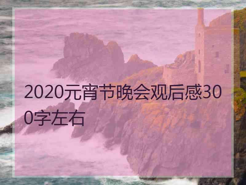 2020元宵节晚会观后感300字左右