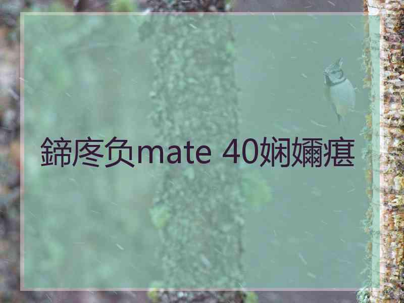 鍗庝负mate 40娴嬭瘎