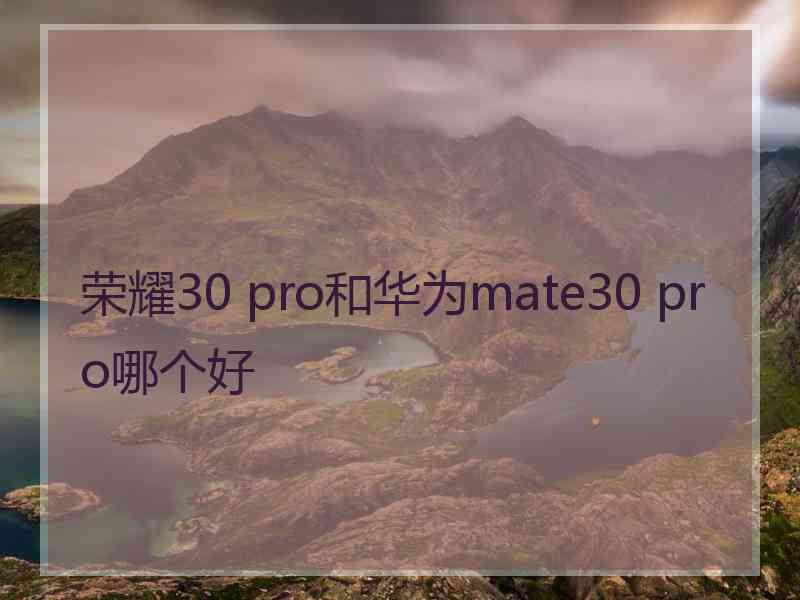 荣耀30 pro和华为mate30 pro哪个好