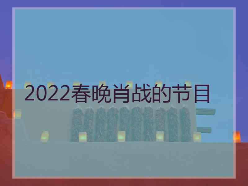 2022春晚肖战的节目