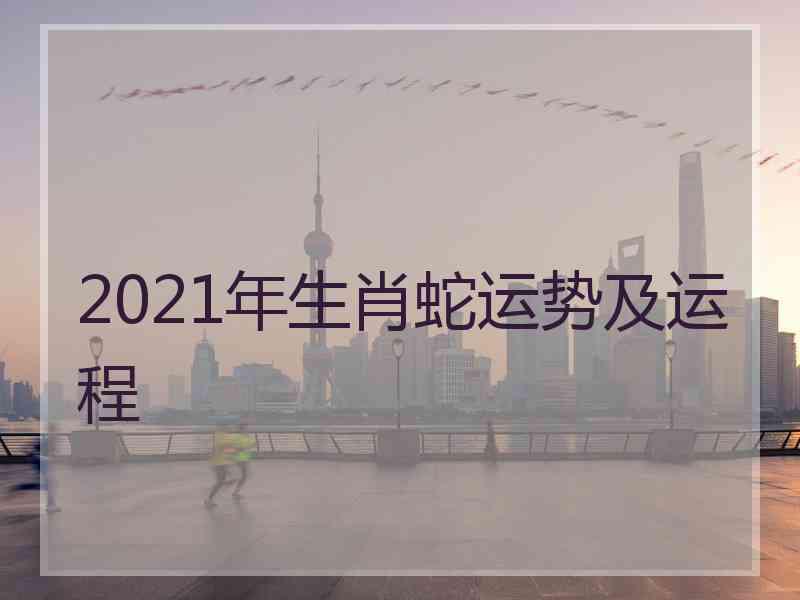 2021年生肖蛇运势及运程