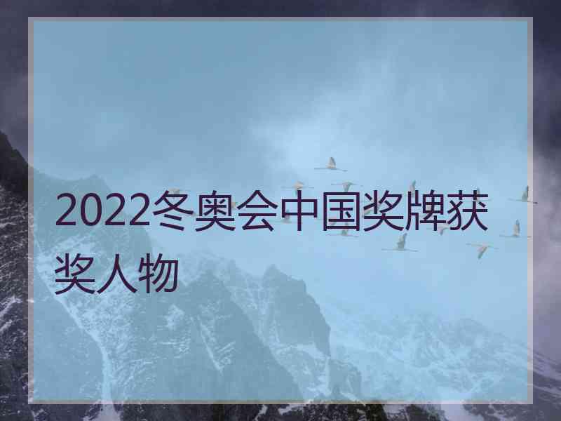 2022冬奥会中国奖牌获奖人物