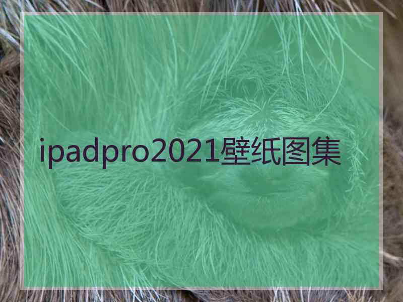 ipadpro2021壁纸图集