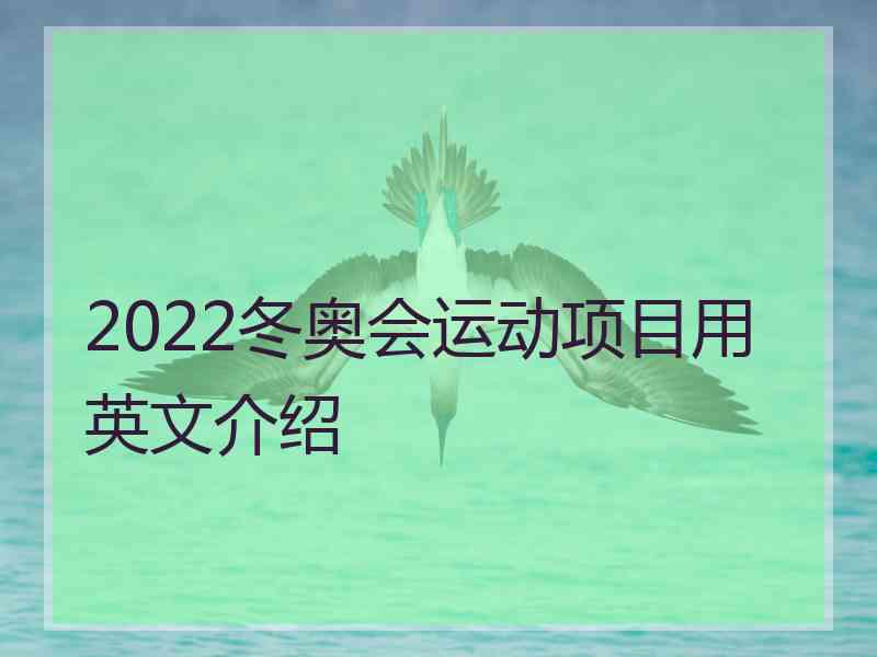 2022冬奥会运动项目用英文介绍