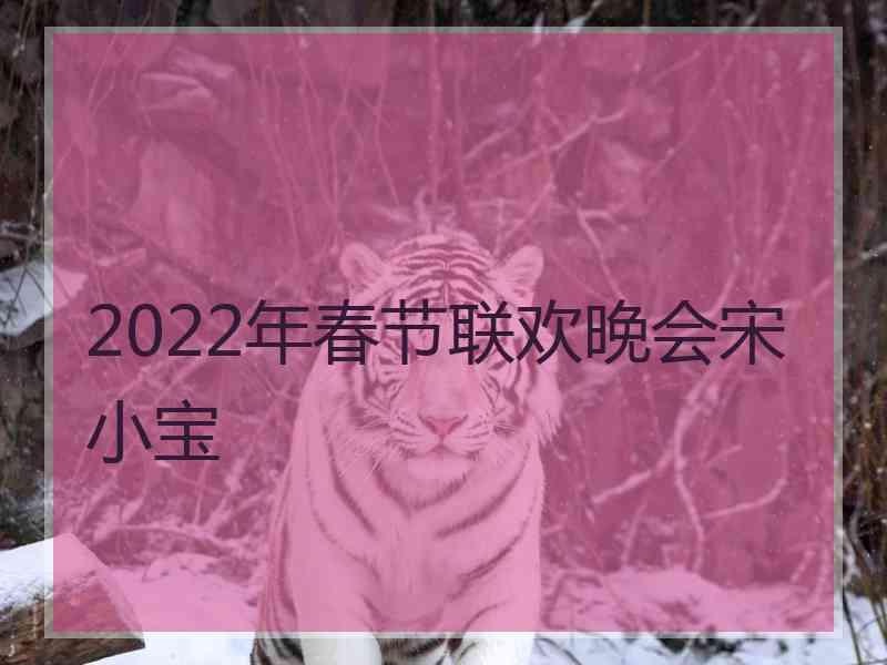 2022年春节联欢晚会宋小宝