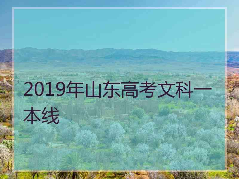 2019年山东高考文科一本线