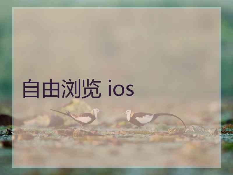 自由浏览 ios