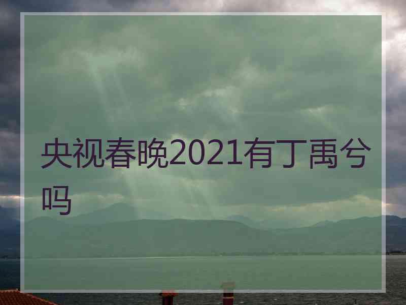 央视春晚2021有丁禹兮吗