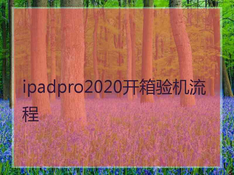 ipadpro2020开箱验机流程