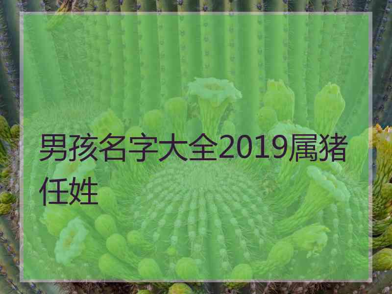 男孩名字大全2019属猪任姓