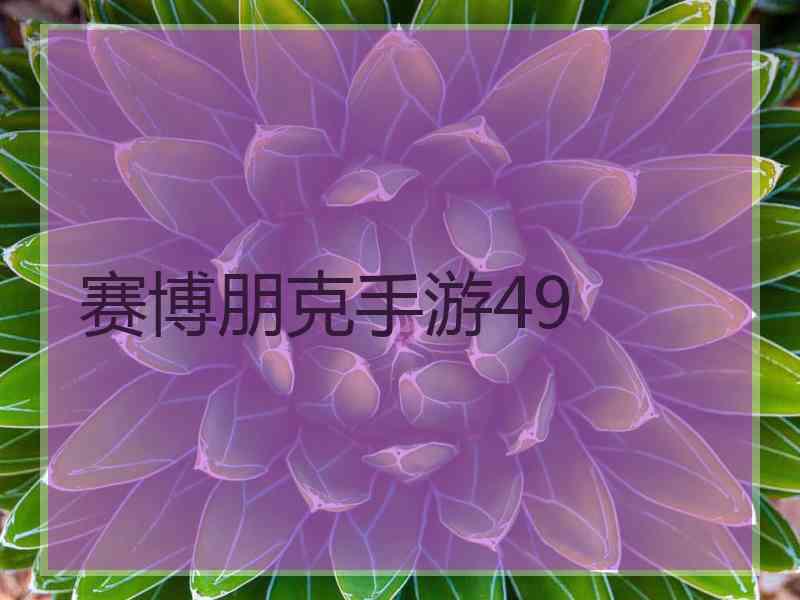 赛博朋克手游49