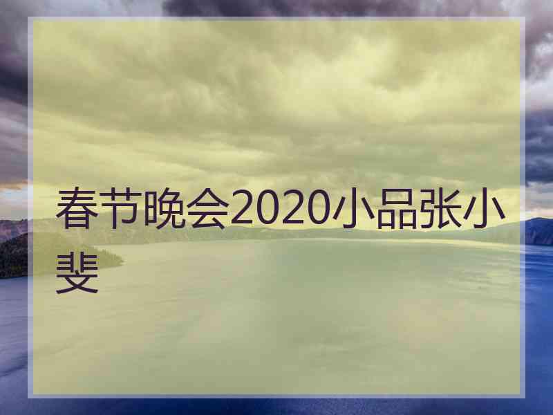 春节晚会2020小品张小斐