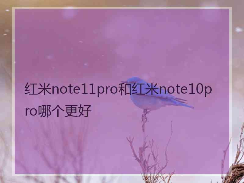 红米note11pro和红米note10pro哪个更好