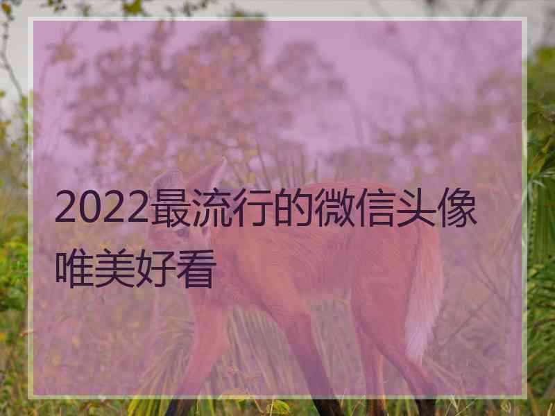 2022最流行的微信头像唯美好看