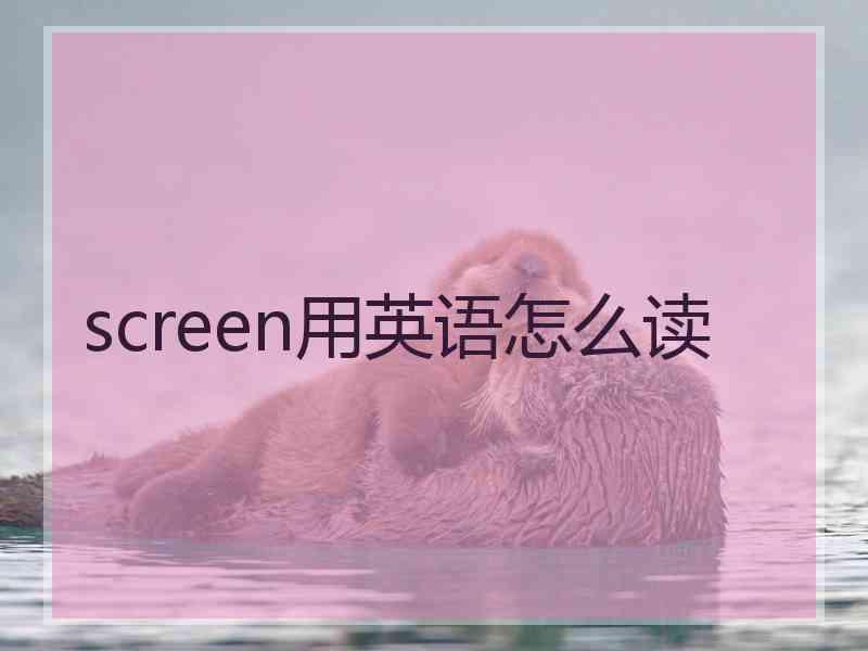 screen用英语怎么读