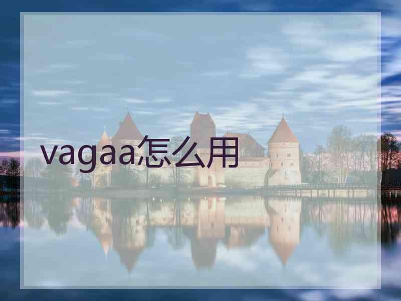 vagaa怎么用