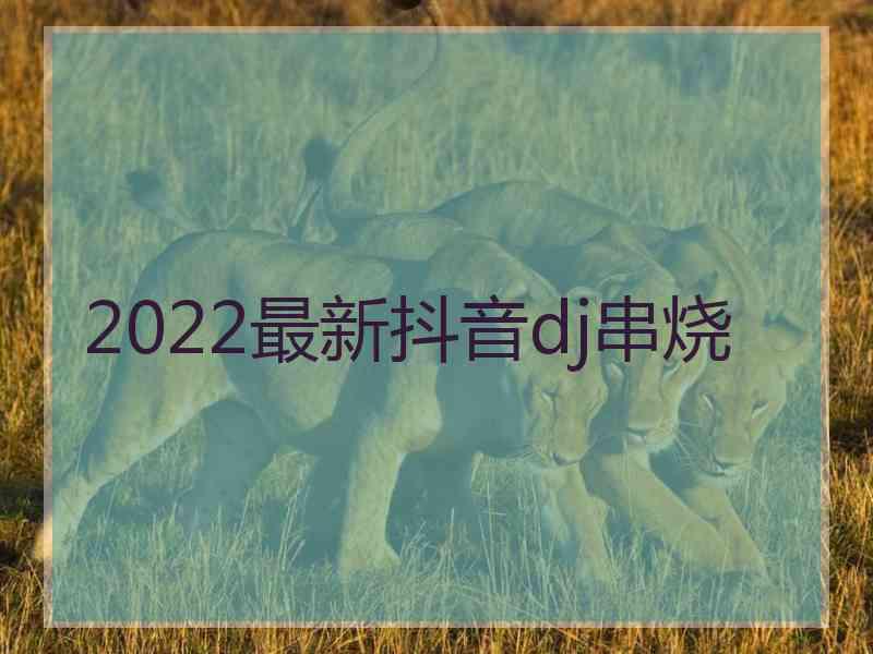 2022最新抖音dj串烧