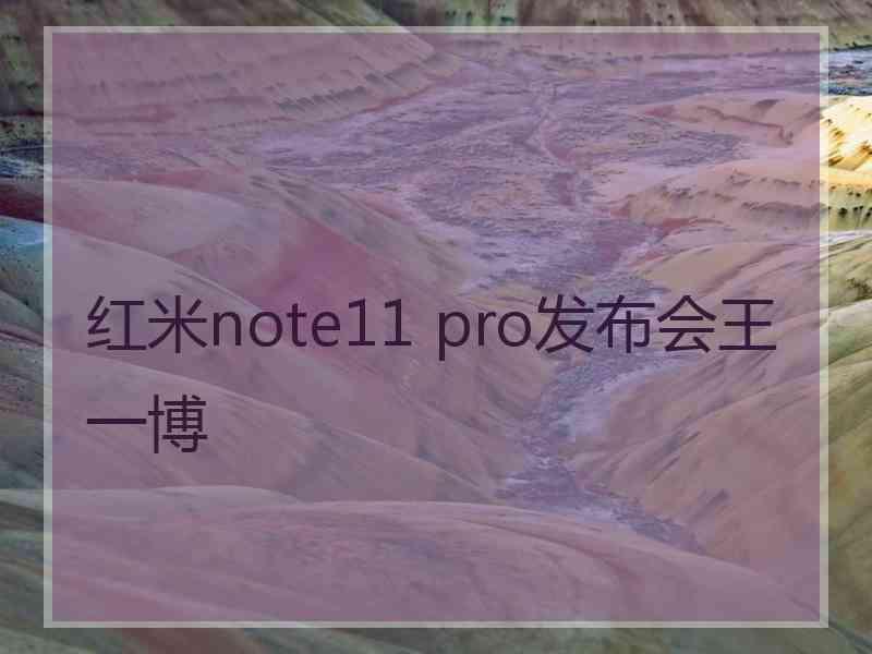 红米note11 pro发布会王一博