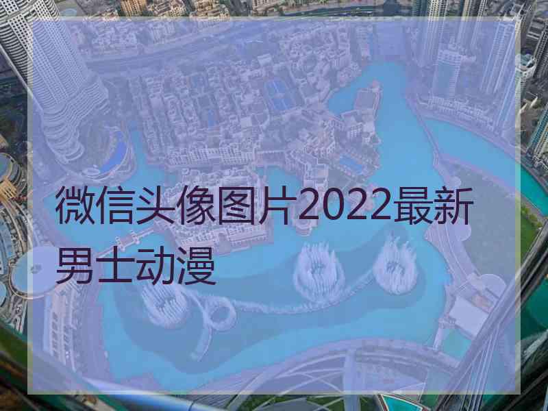 微信头像图片2022最新男士动漫