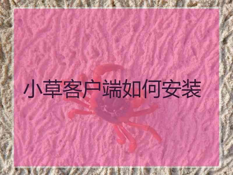 小草客户端如何安装