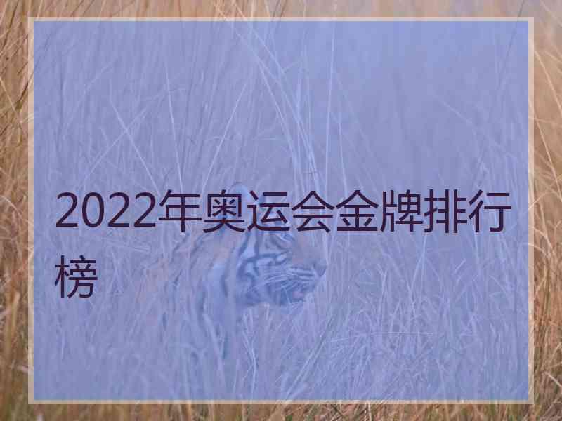 2022年奥运会金牌排行榜